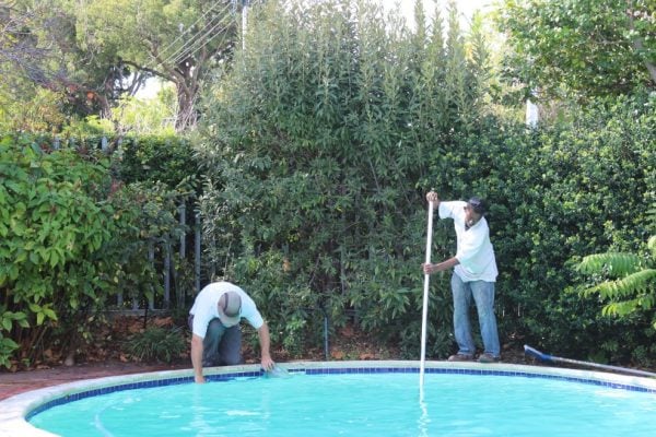 Pool Renovation, Newlands